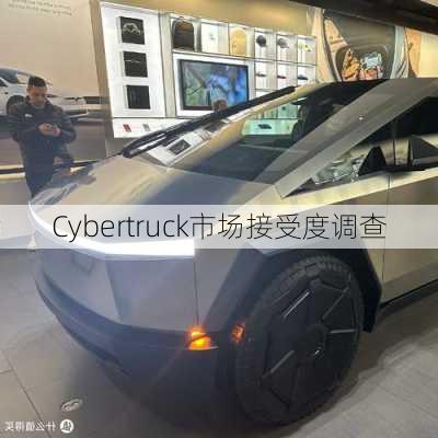 Cybertruck市场接受度调查