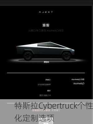 特斯拉Cybertruck个性化定制选项