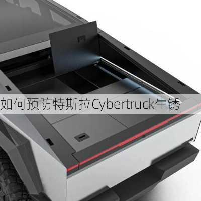 如何预防特斯拉Cybertruck生锈