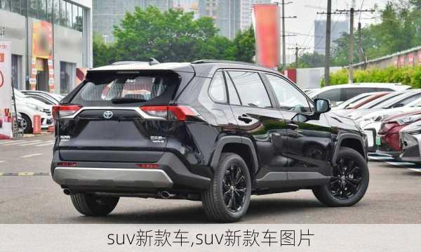 suv新款车,suv新款车图片