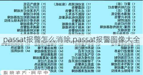 passat报警怎么消除,passat报警图像大全