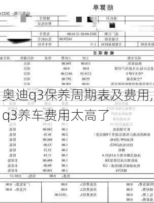 奥迪q3保养周期表及费用,q3养车费用太高了