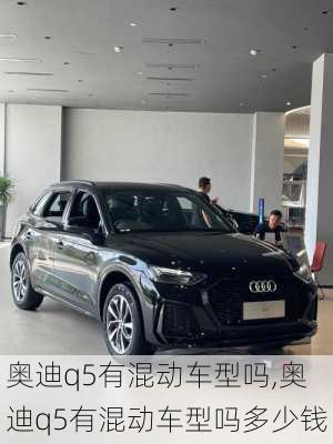 奥迪q5有混动车型吗,奥迪q5有混动车型吗多少钱