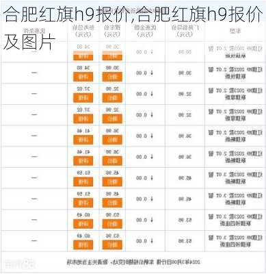 合肥红旗h9报价,合肥红旗h9报价及图片