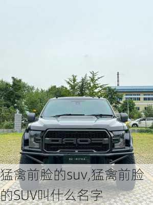 猛禽前脸的suv,猛禽前脸的SUV叫什么名字