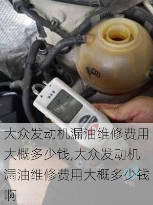 大众发动机漏油维修费用大概多少钱,大众发动机漏油维修费用大概多少钱啊