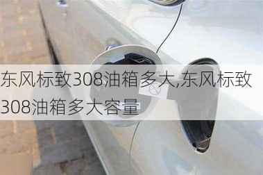 东风标致308油箱多大,东风标致308油箱多大容量