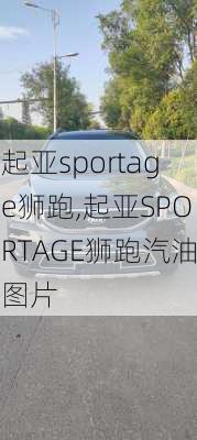 起亚sportage狮跑,起亚SPORTAGE狮跑汽油图片