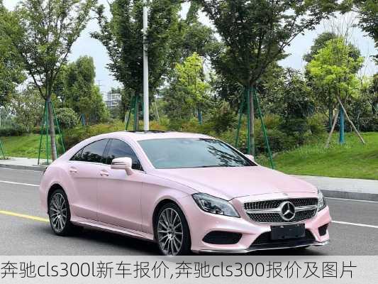 奔驰cls300l新车报价,奔驰cls300报价及图片