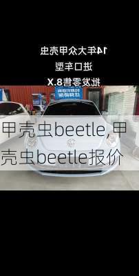 甲壳虫beetle,甲壳虫beetle报价