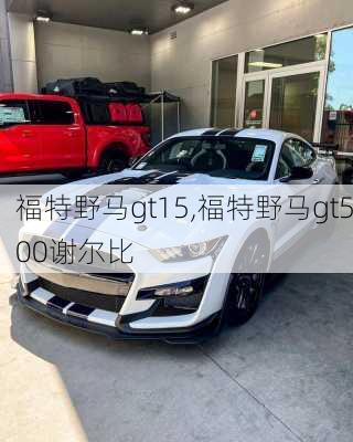 福特野马gt15,福特野马gt500谢尔比