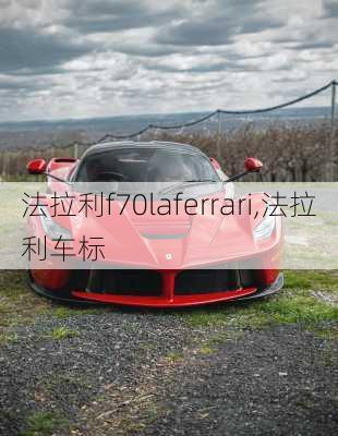 法拉利f70laferrari,法拉利车标