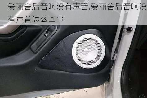 爱丽舍后音响没有声音,爱丽舍后音响没有声音怎么回事