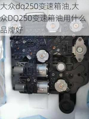 大众dq250变速箱油,大众DQ250变速箱油用什么品牌好